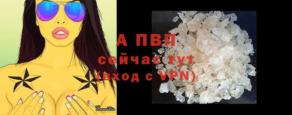 мдпв Дмитриев