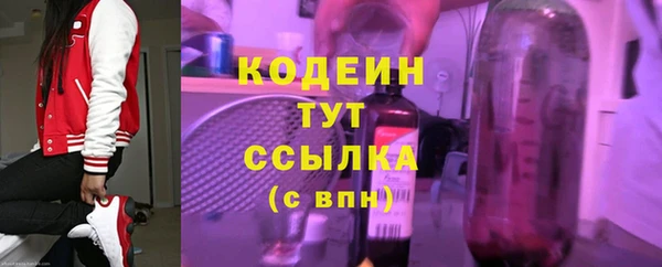 мдпв Дмитриев