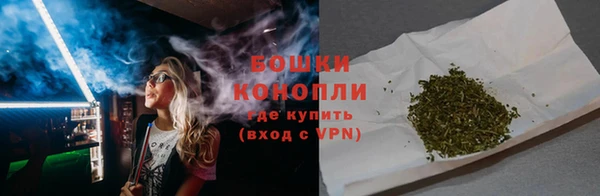 PSILOCYBIN Дмитров