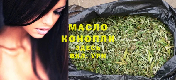 мдпв Дмитриев