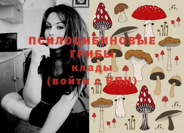 мдпв Дмитриев