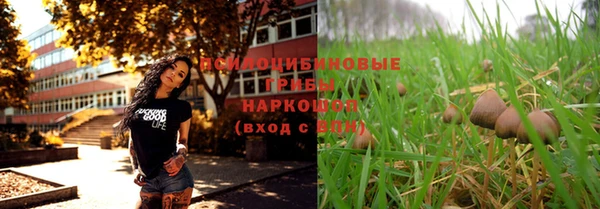 PSILOCYBIN Дмитров