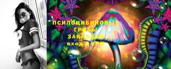 PSILOCYBIN Дмитров