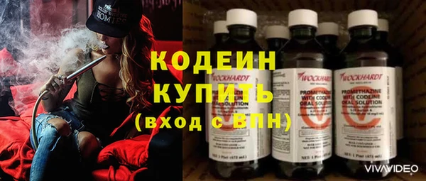 мдпв Дмитриев