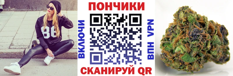 Каннабис конопля  Купить закладки  Тында 